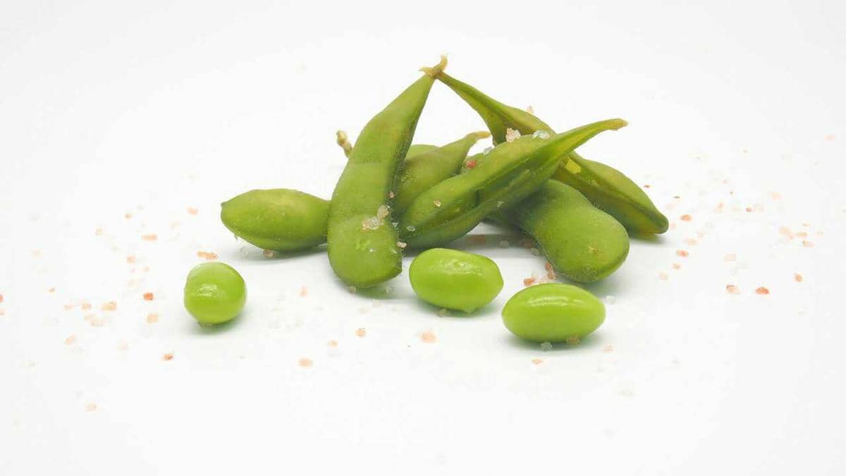 ilustrasi edamame
