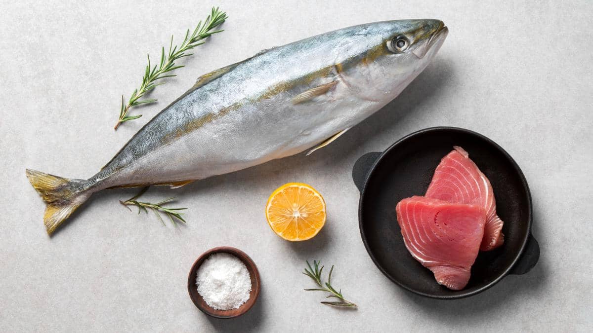 ilustrasi ikan tuna segar