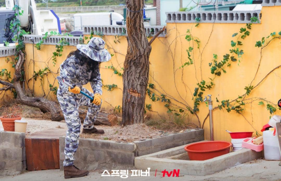 cuplikan drama Spring Fever