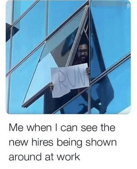 meme menemani karyawan baru