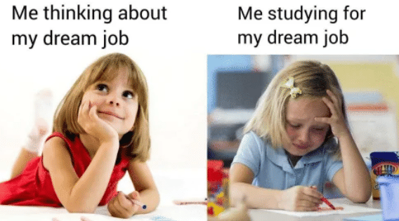 meme pekerjaan impian