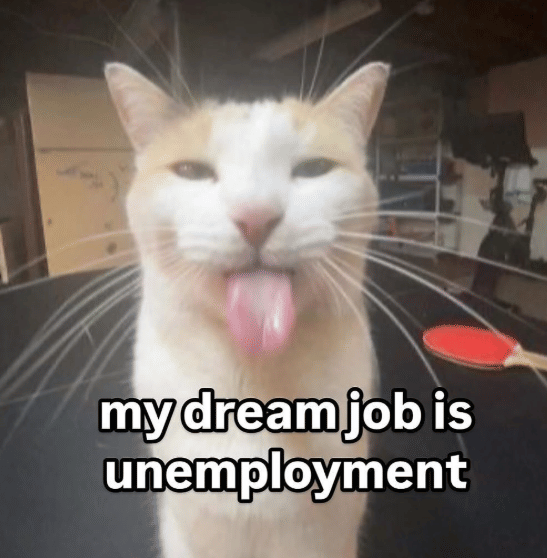 meme pekerjaan impian