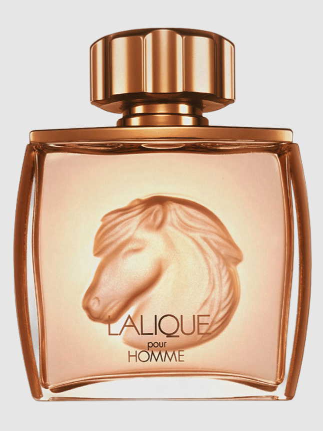 Lalique Pour Homme Equus