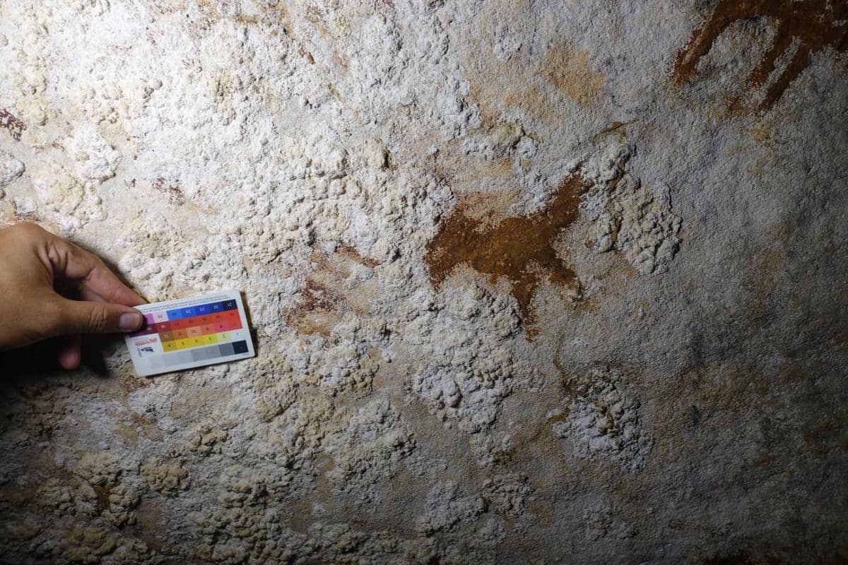 Penemuan seni cadas berupa cap tangan manusia berusia setidaknya 67.800 tahun di situs Leang Metanduno, Pulau Muna, Sulawesi Tenggara. (Dok. IDN Times/Istimewa)