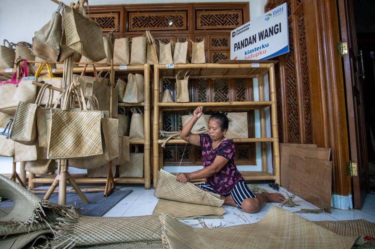 WhatsApp Image 2026-01-23 at 9.58.26 AM.jpeg