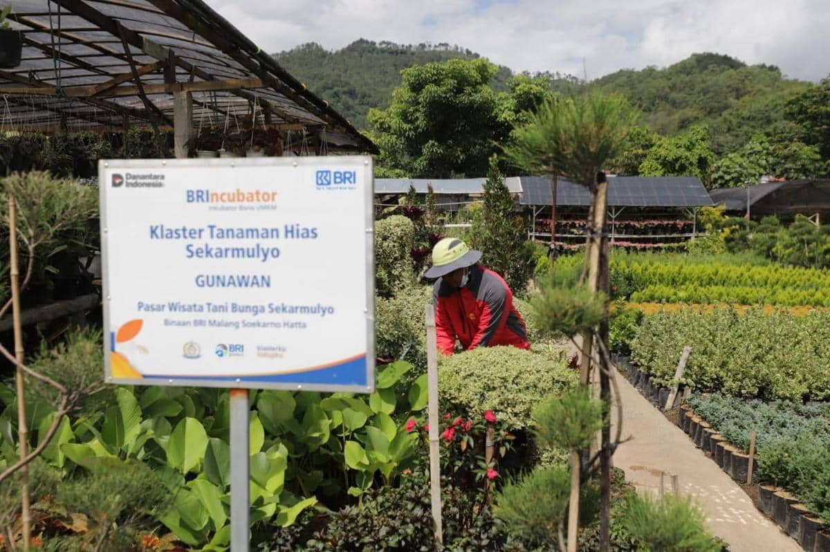 WhatsApp Image 2026-01-23 at 9.58.26 AM (1).jpeg