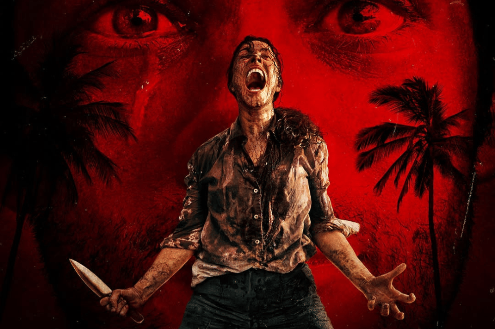 Poster film Send Help