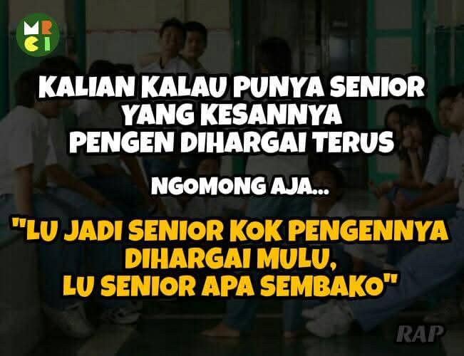 meme si paling senior