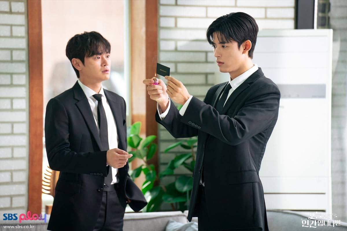 still cuts drama No Tail to Tell