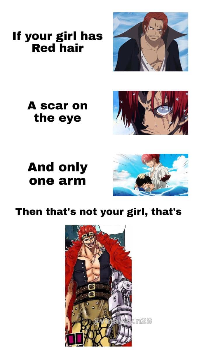 meme rambut karakter One Piece