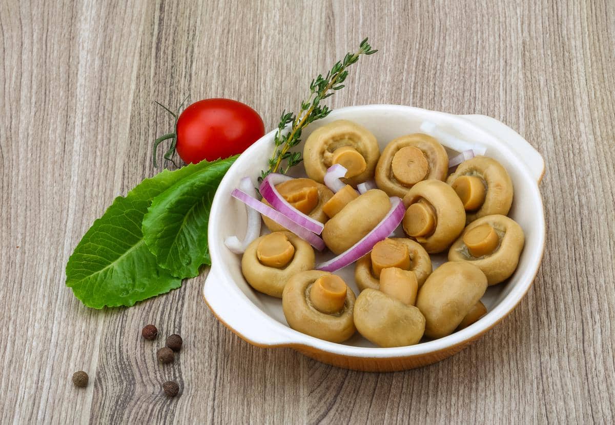 ilustrasi jamur dan bumbu