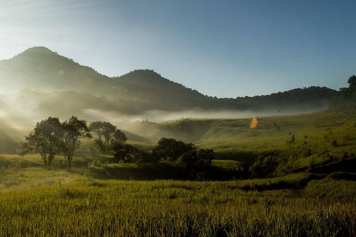 potret Gunung Papandayan 