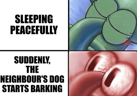 meme anjing menggonggong