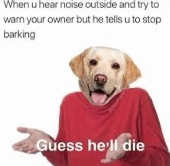 meme anjing menggonggong