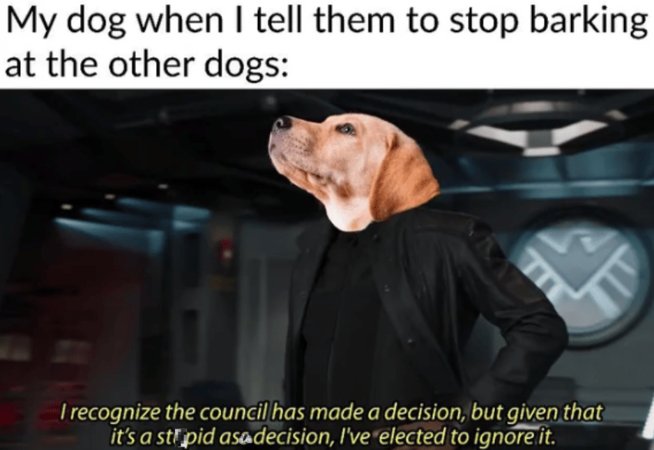 meme anjing menggonggong