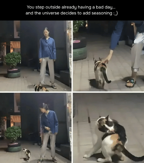 meme momen ngeselin saat jalanin hari yang buruk