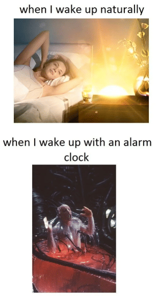 meme alarm