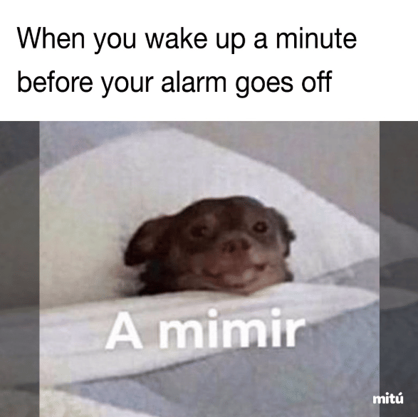 meme alarm 