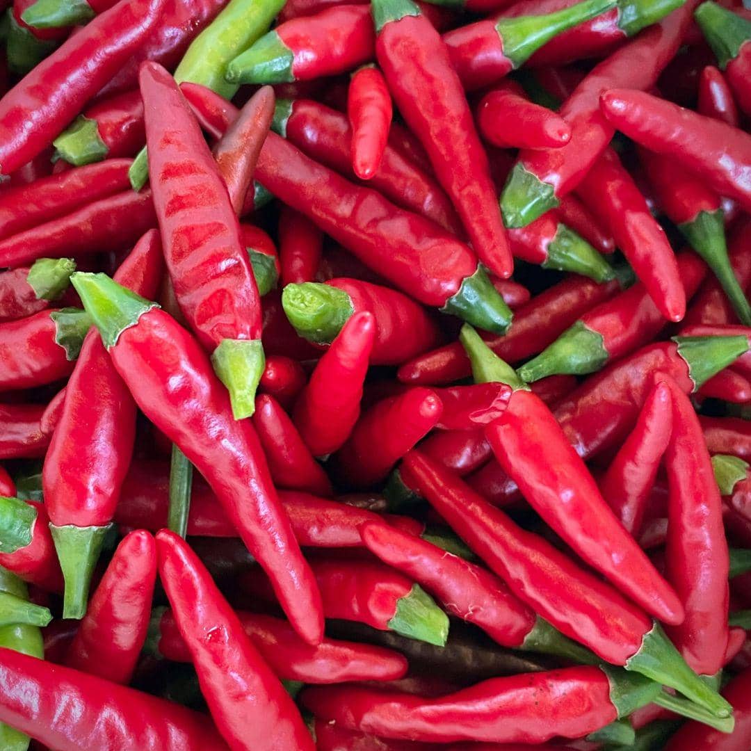 Harga Cabai Tiba-tiba Turun, Berikut Harganya di Sejumlah Daerah Sumut