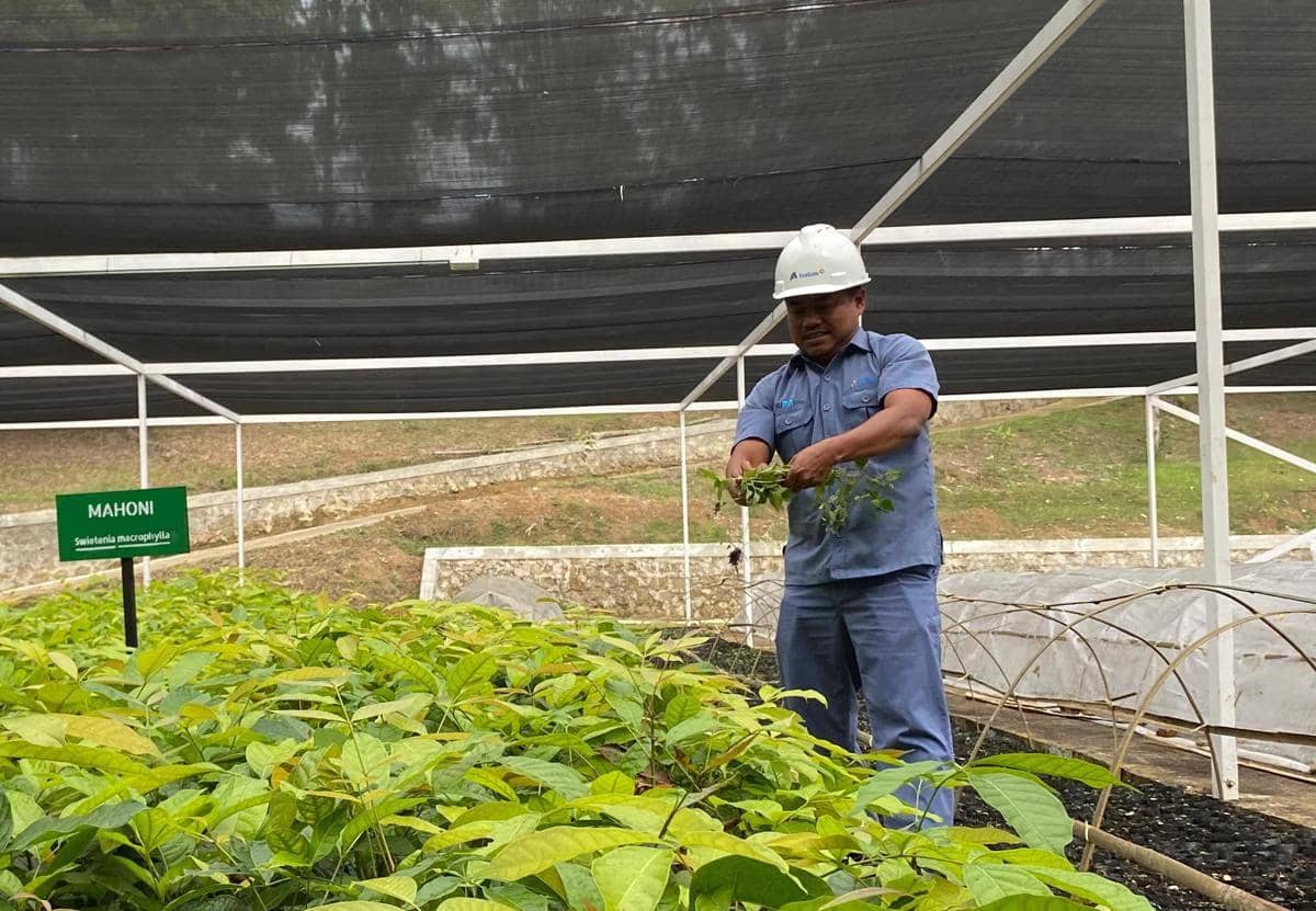 Program konservasi Inalum untuk kelestarian Danau Toba (dok.Inalum)