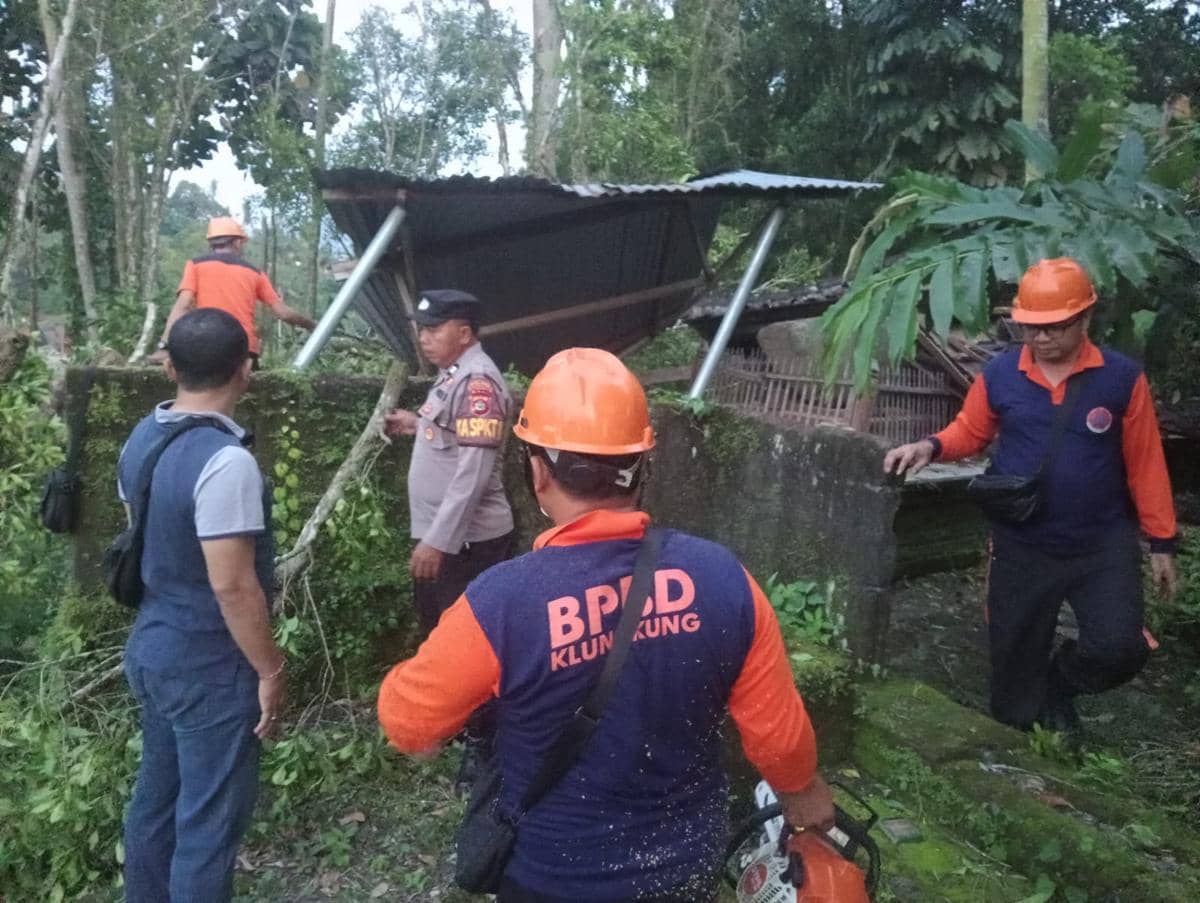 Bangunan sarkofagus di Desa Tegak, Klungkung rusak tertimpa pohon tumbang.
