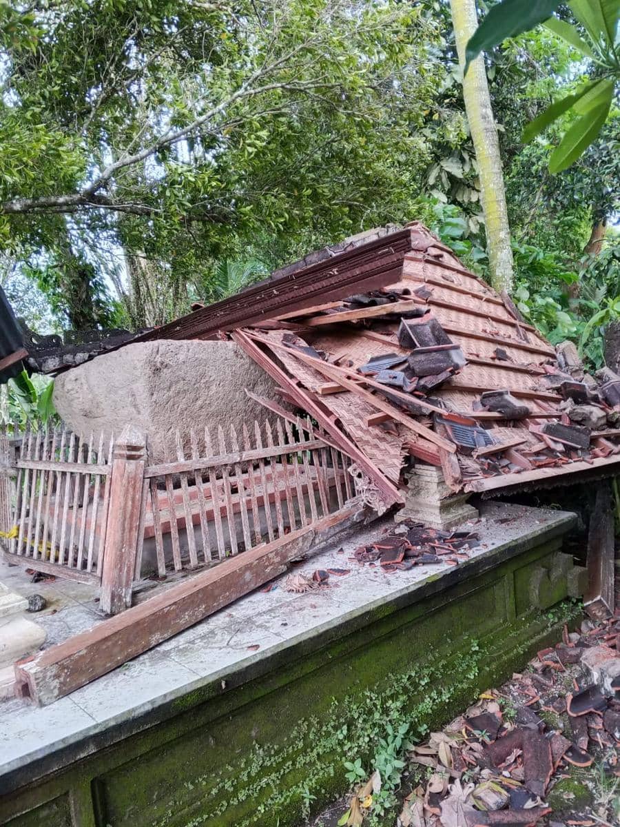 Bangunan sarkofagus di Desa Tegak, Klungkung rusak tertimpa pohon tumbang.