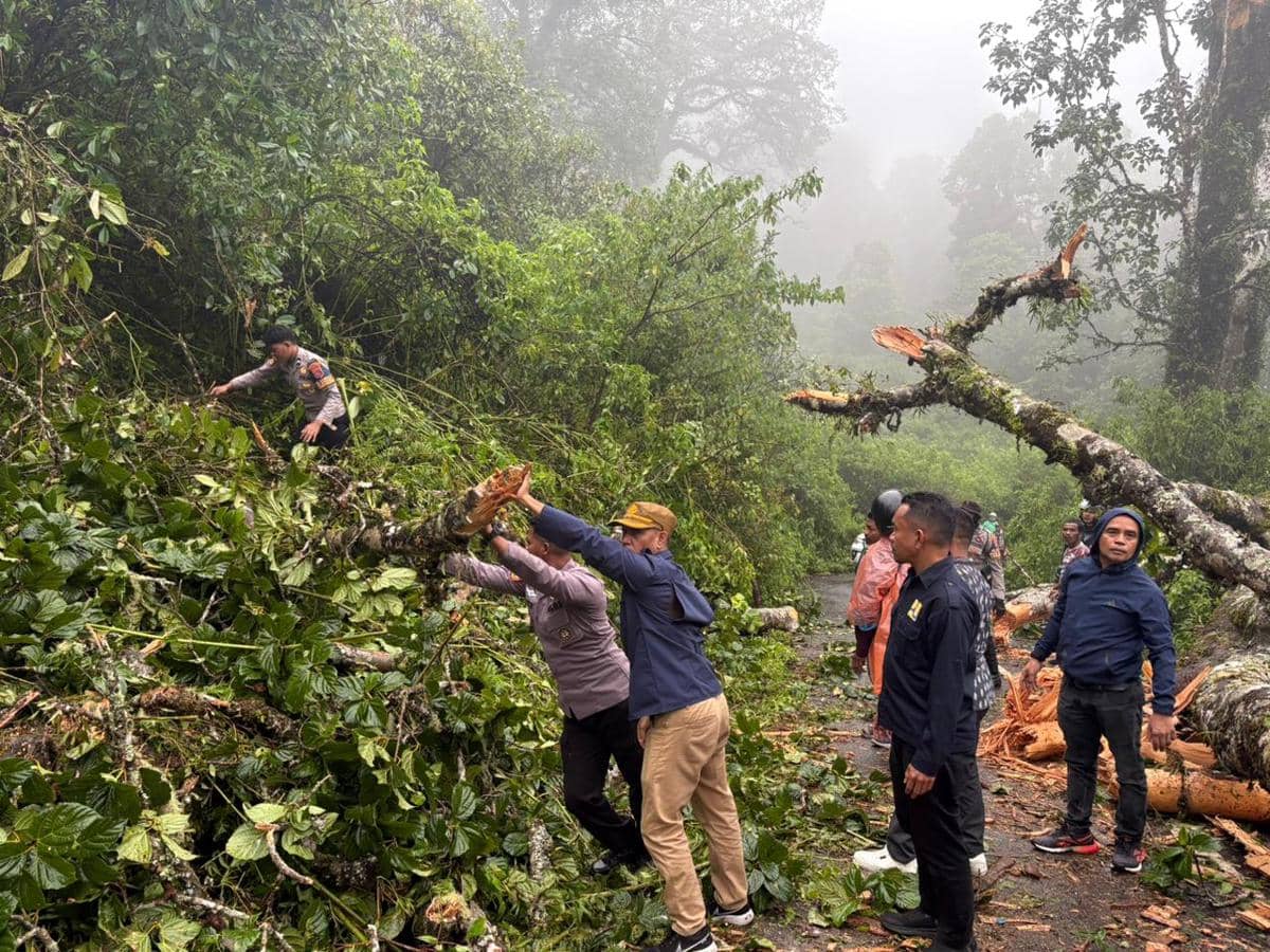 Longsor di Manggarai Timur timbun warga.