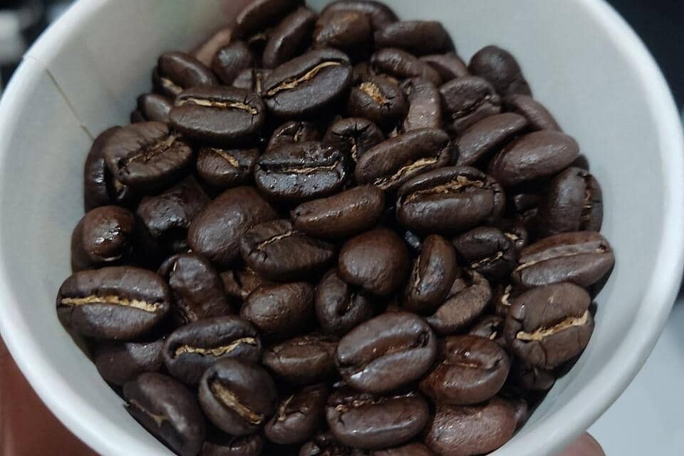 Biji kopi Gayo