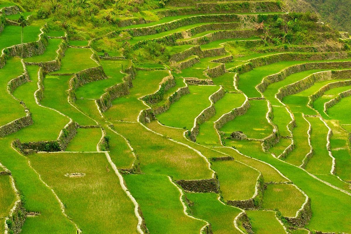 potret Batad Rice Terraces