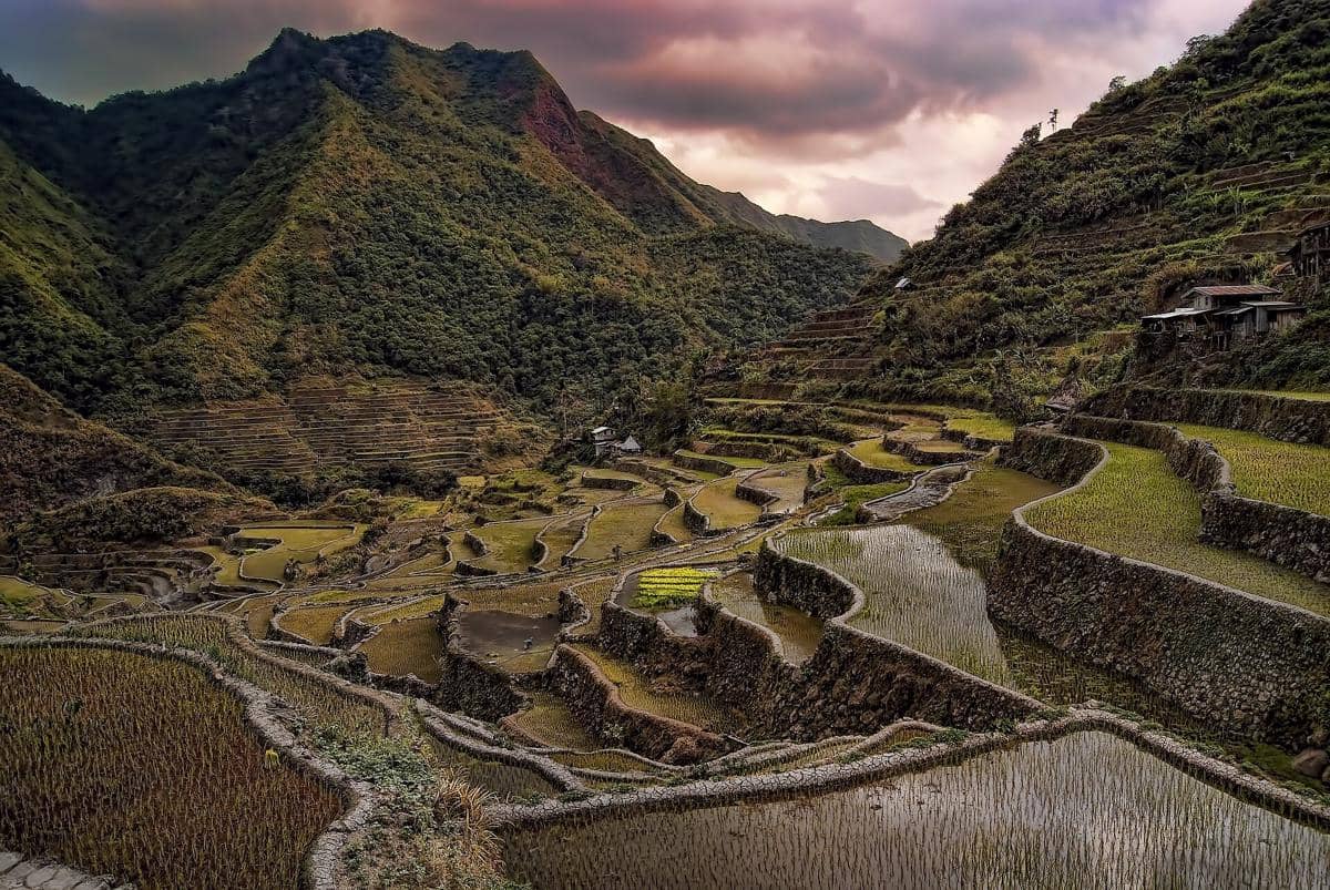 potret Batad Rice Terraces