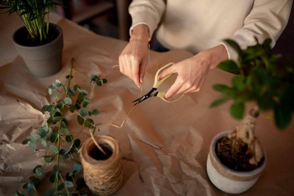 ilustrasi memangkas tanaman