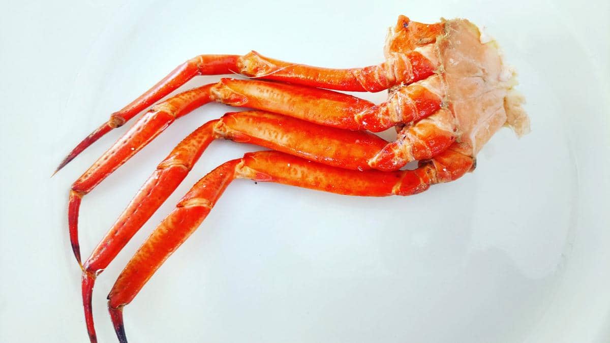 ilustrasi crab leg 