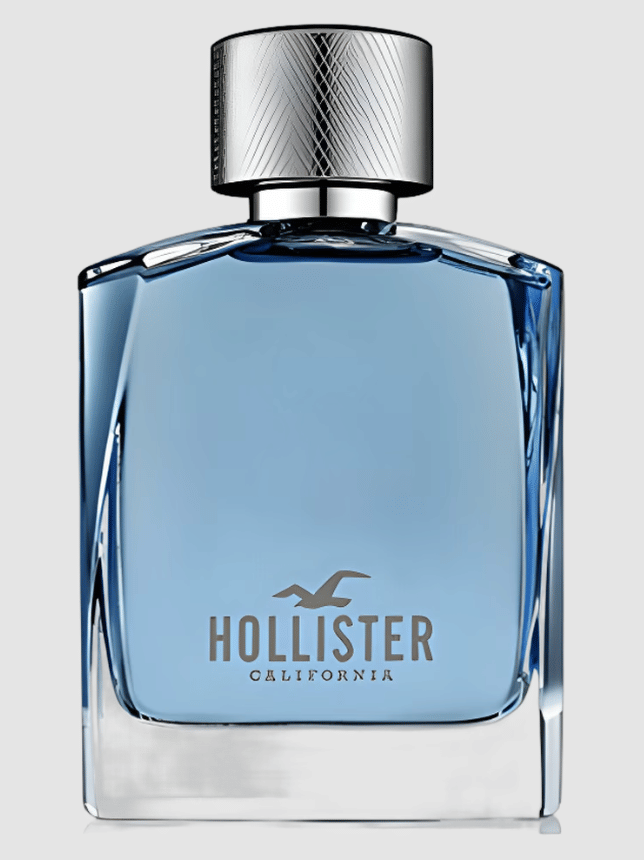 Hollister Wave For Him