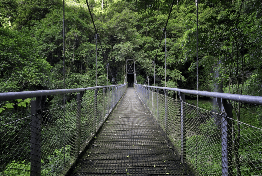 alam yang segar dan bersih setelah hujan