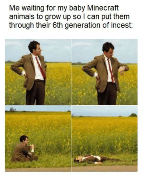 meme hewan dalam game Minecraft