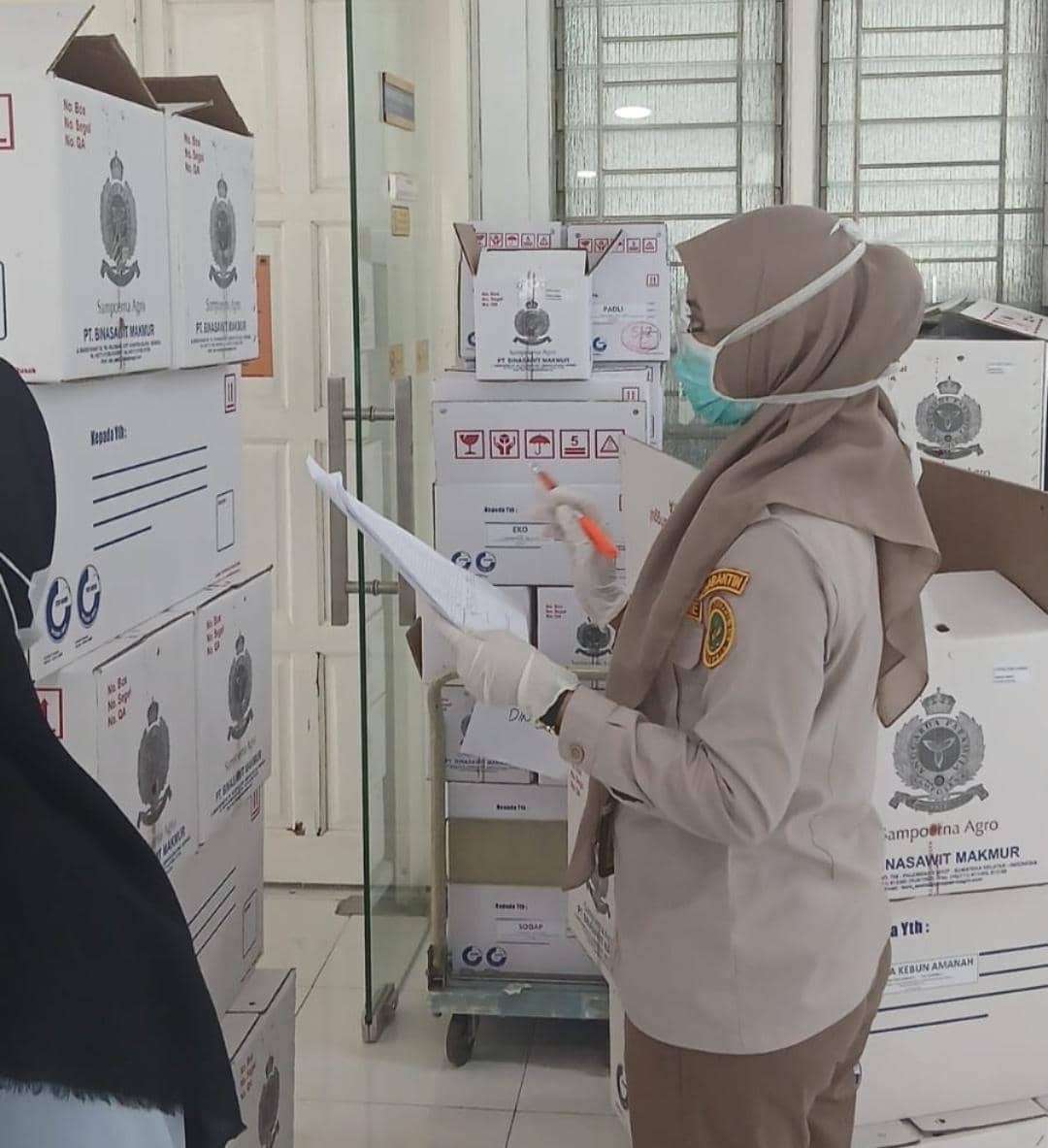 Ekspor benih kelapa sawit ke Peru