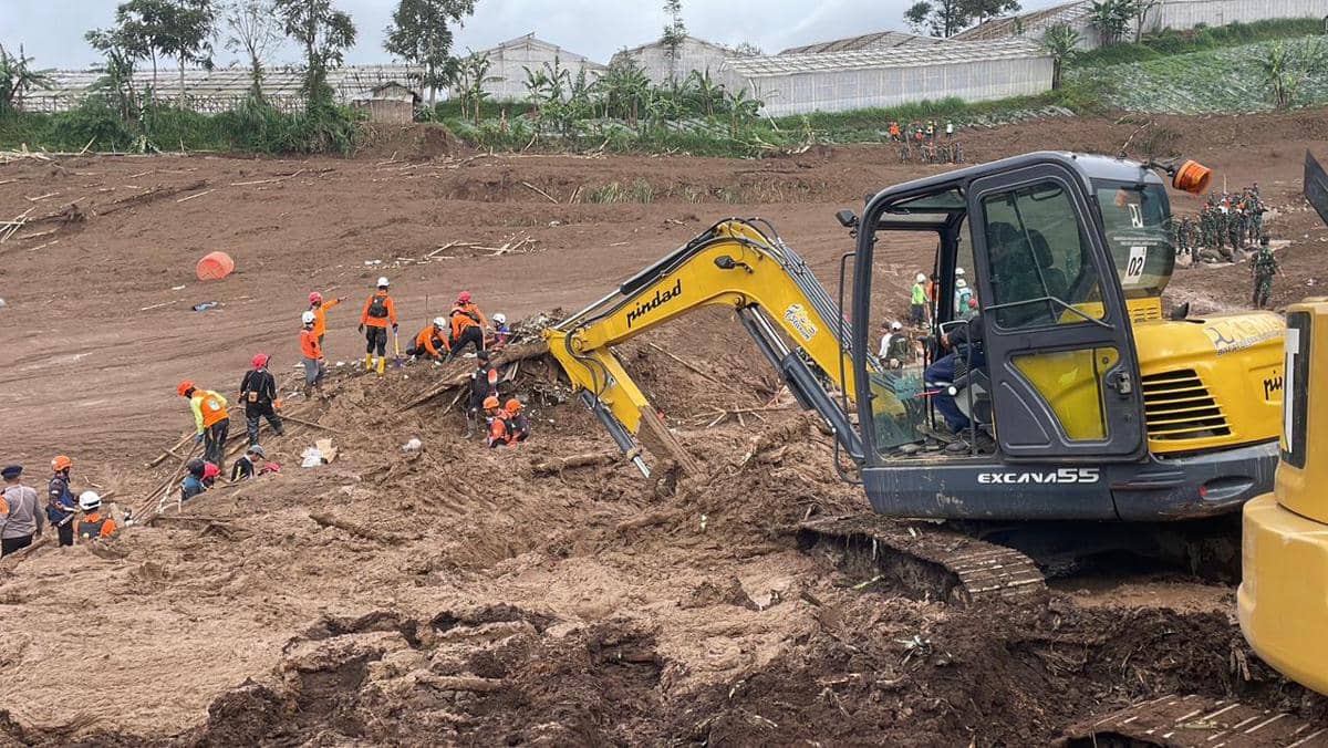 WhatsApp Image 2026-01-25 at 5.16.57 PM.jpeg