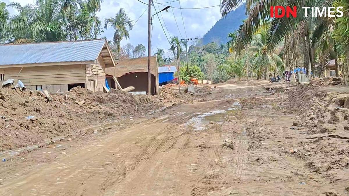 WhatsApp Image 2026-01-25 at 20.14.25.jpeg