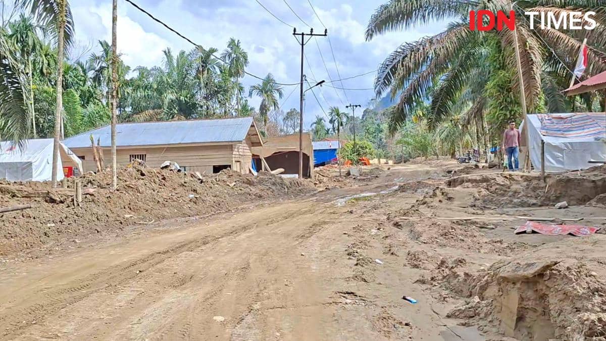 WhatsApp Image 2026-01-25 at 20.14.26.jpeg