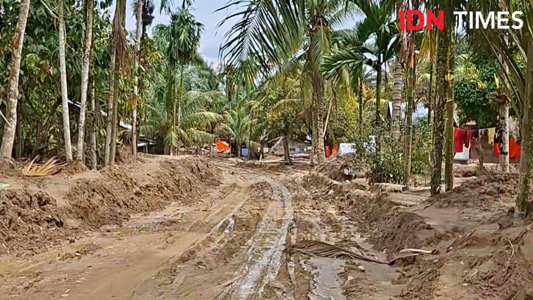 WhatsApp Image 2026-01-25 at 20.14.27 (1).jpeg