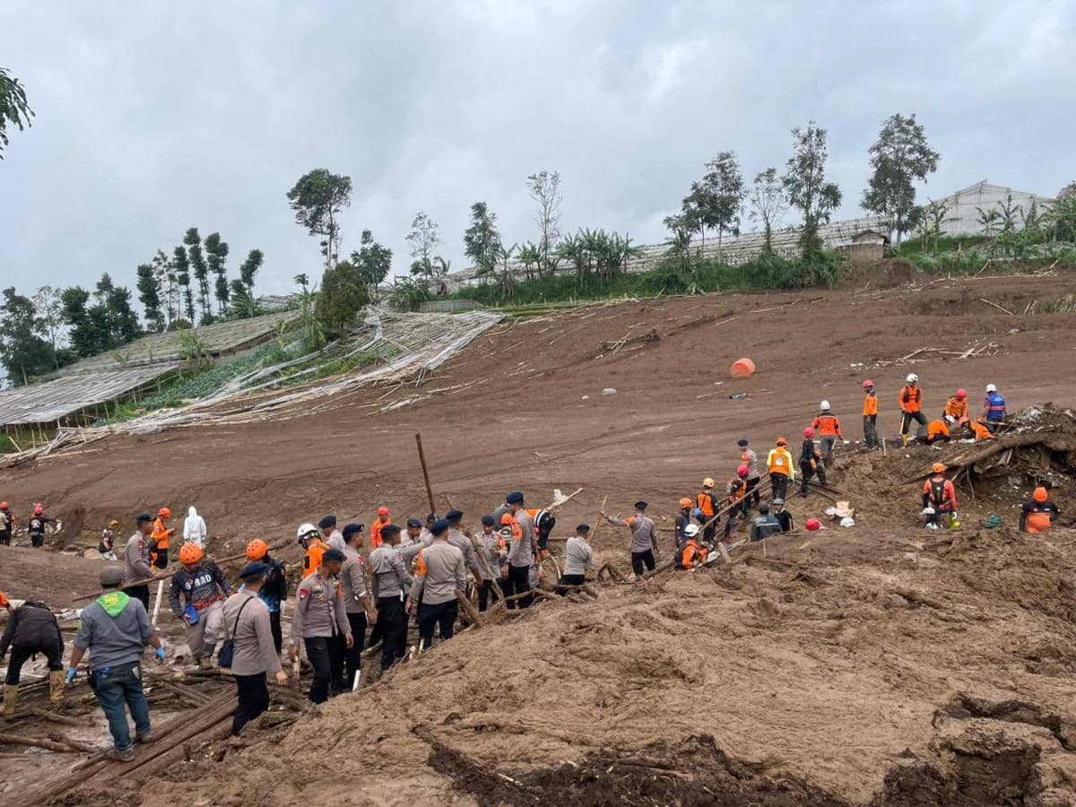 WhatsApp Image 2026-01-25 at 5.16.44 PM.jpeg