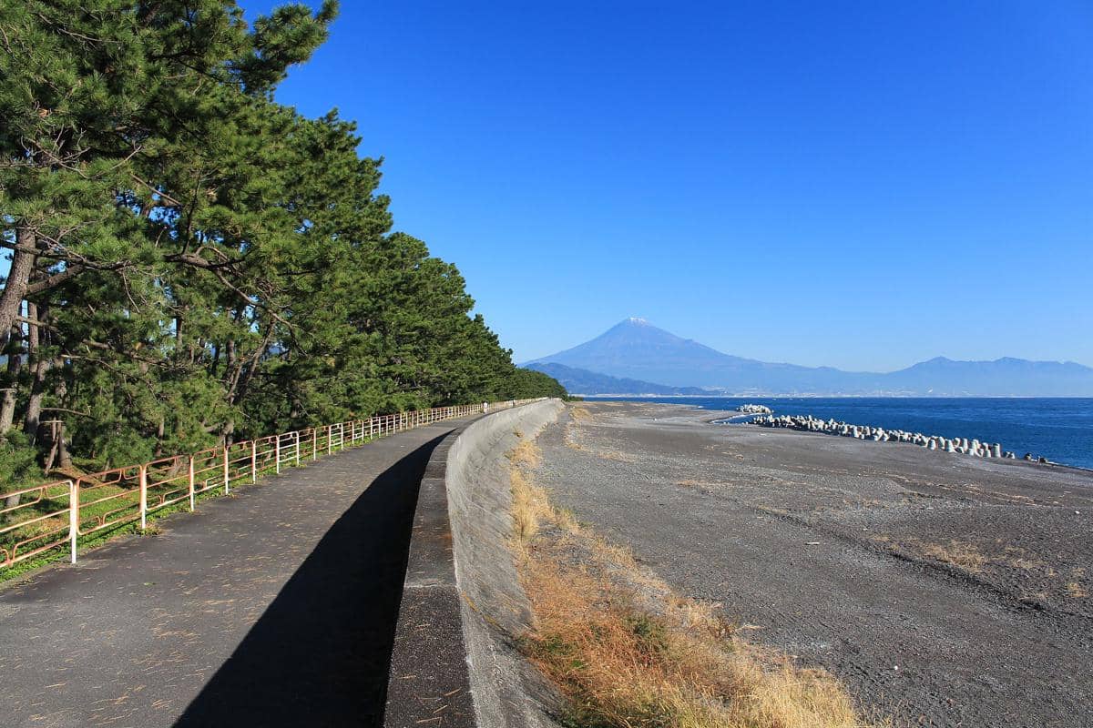 potret Miho no Matsubara