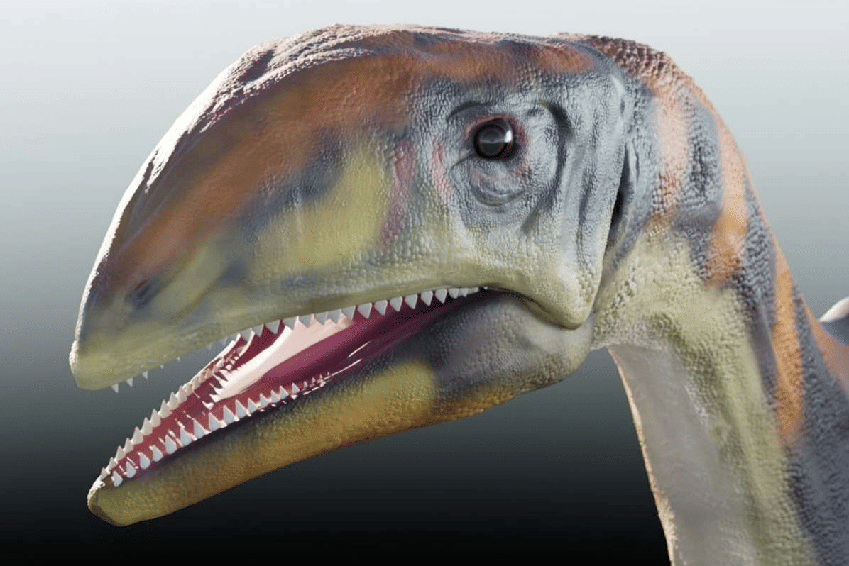 ilustrasi dinosaurus Issi Saaneq