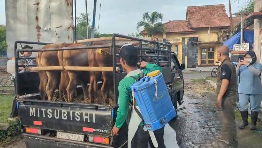 Altivitas jual beli ternak di pasar hewan Ngawi. IDN Times/Riyanto.