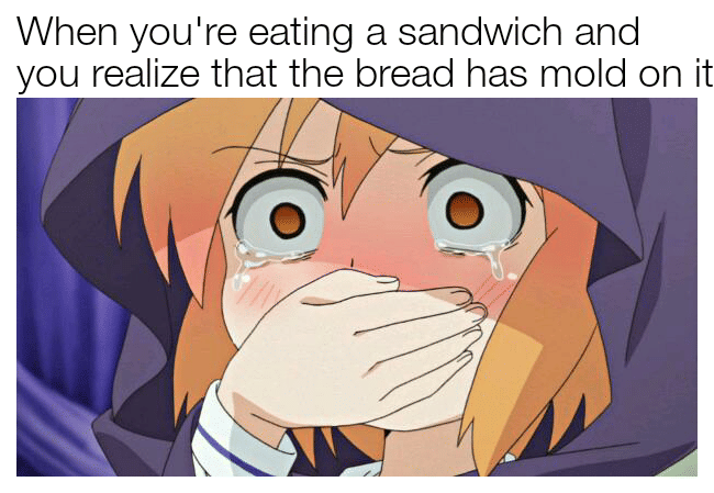 meme anime tentang kedaluwarsa