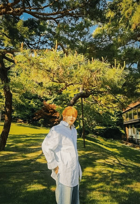 potret S.Coups SEVENTEEN