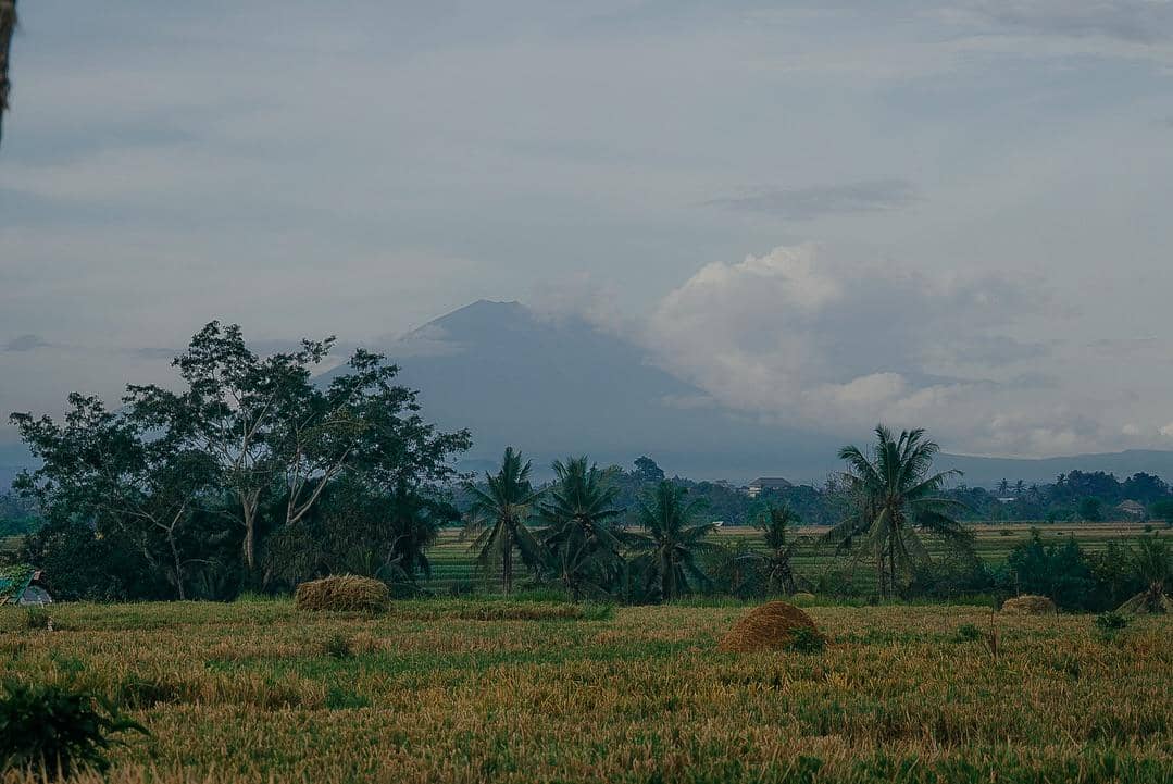 pemandangan alam di Desa Wisata Penarungan (instagram.com/desawisatapenarungan)