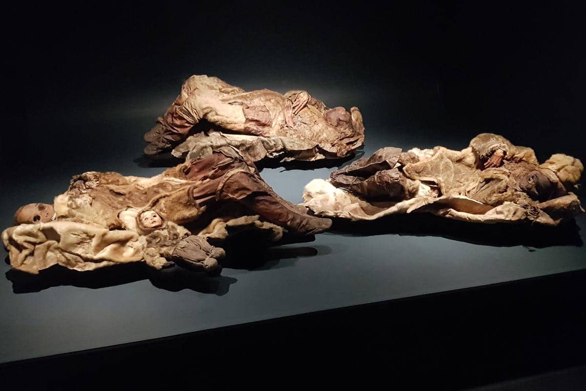 12 Penemuan Paling Mengejutkan di Greenland, Ada Mumi Bayi