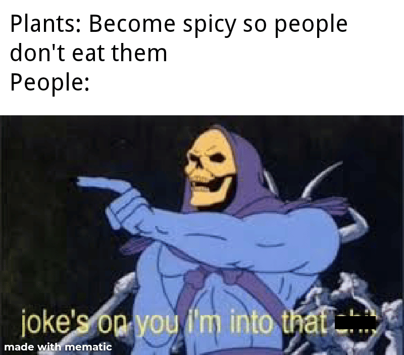 meme kartun tentang makanan pedas