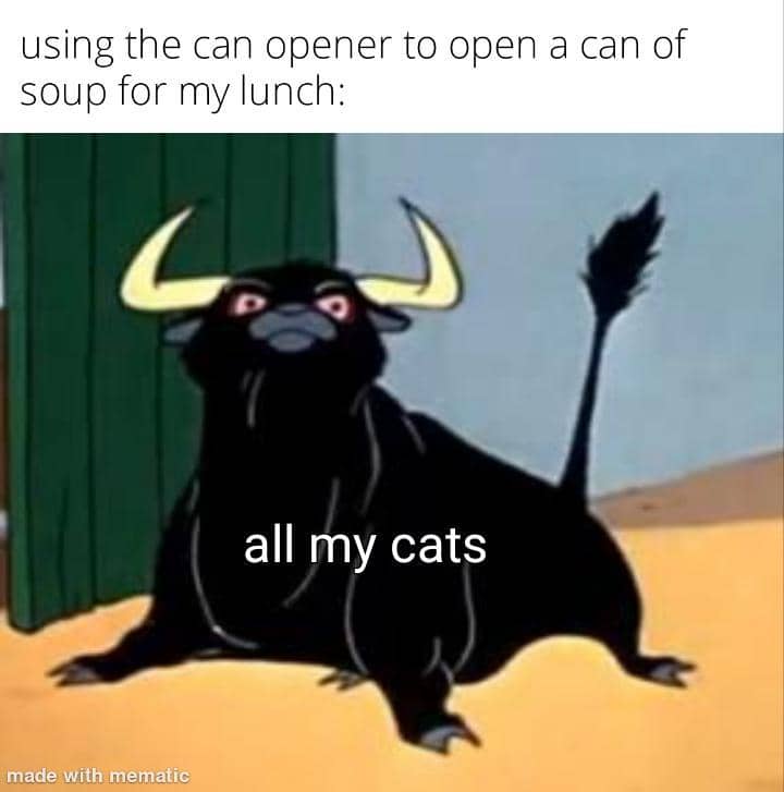 meme kucing tentang makanan kaleng
